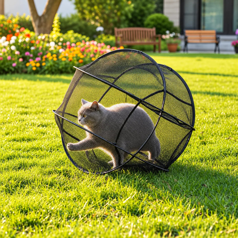 Cat exploring the lawn inside a black mesh pet playpen