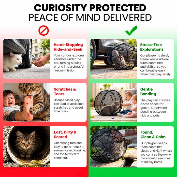 Illustrated comparison of pet roaming situations and supervised play inside a mesh enclosure